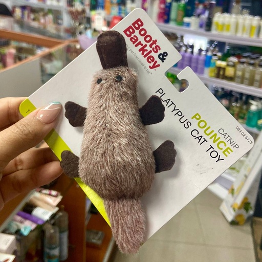 Juguete para Mascota